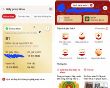 Cách kiểm tra điểm số giấy phép lái xe trên VNeID