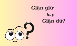 'Giận giữ' hay 'giận dữ' mới đúng chính tả?