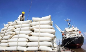 Thêm trường hợp bị thu hồi giấy chứng nhận đủ điều kiện kinh doanh xuất khẩu gạo