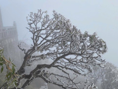 Băng giá bao phủ đỉnh Fansipan