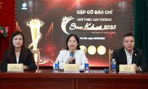 9 nhóm lĩnh vực trong Giải thưởng Sao Khuê 2025