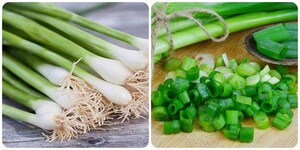 Những người nên thường xuyên ăn hành lá