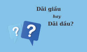 99% người sai chính tả: 'Dãi giầu' hay 'dãi dầu'
