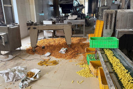 Phát hiện xác chuột bốc mùi hôi thối trong xưởng sản xuất bim bim ở Hà Nội