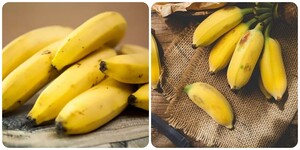 Mỗi ngày ăn một quả chuối có tốt cho sức khoẻ?