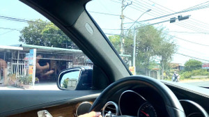 Tôi lái xe 1.500km về quê ăn Tết để tiết kiệm 9 triệu đồng tiền vé máy bay