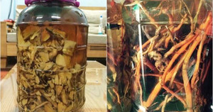 Một người tử vong nghi do uống rượu ngâm rễ cây rừng