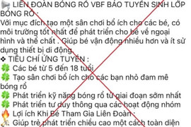 Đăng ký học bóng rổ cho con trên mạng, người phụ nữ ở Hà Nội bị lừa 1,1 tỷ đồng