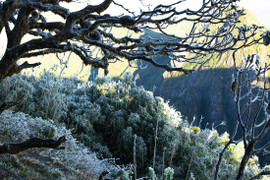 Dự báo thời tiết ngày 12/1: Giá rét bao trùm miền Bắc, khả năng xảy ra băng giá