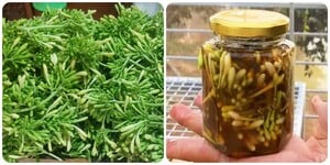 Hoa đu đủ đực tốt cho sức khoẻ nhưng 'đại kỵ' với 5 nhóm người này
