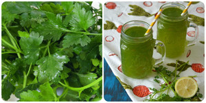 Uống nước rau mùi mỗi ngày có tác dụng gì?