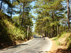 Đèo Prenn - cung đường uốn lượn, đẹp mê hoặc