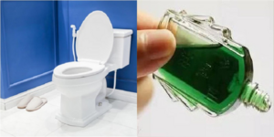 Nhỏ dầu gió vào bồn cầu có tác dụng gì?