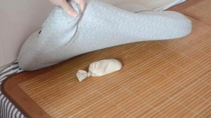 Vì sao nhiều người đặt một nắm gạo dưới gối?