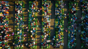 Ngôi chợ miền Tây ngay hàng thẳng lối như ‘game nông trại’