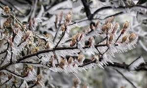 Địa điểm duy nhất ở Hà Nội từng 2 lần có tuyết rơi?