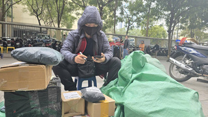 Thương nhân chung tay xây dựng thương mại điện tử xanh