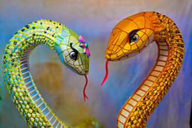 Ngắm cặp đôi linh vật Tết Nguyên đán ở TP.HCM