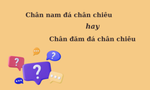 Câu thành ngữ quen thuộc nhưng nhiều người dùng sai