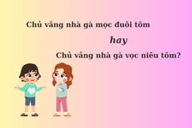 Vắng chủ nhà gà 'mọc đuôi tôm' hay 'vọc niêu tôm'?