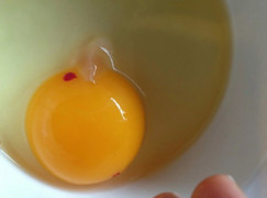 Đập trứng gà thấy vệt màu đỏ hay trắng đục, nên ăn hay bỏ đi?