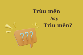'Trừu mến' hay 'trìu mến' mới chuẩn Tiếng Việt?