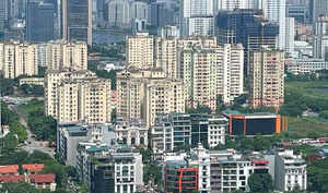 Đón đà tăng giá, nhiều chủ đầu tư tung dự án mới ngay đầu năm mới 2025