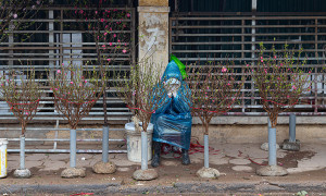 Bắc Bộ đón không khí lạnh mạnh dịp Tết Nguyên đán và dự báo thời tiết 10 ngày