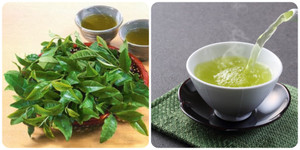 Uống bao nhiêu nước chè xanh mỗi ngày là đủ?