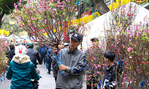 Dự báo thời tiết dịp cận Tết Nguyên đán: Miền Bắc mưa rét, vùng núi rét đậm