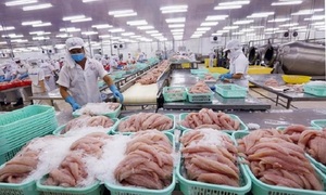 Việt Nam - Hoa Kỳ đạt thỏa thuận giải quyết về chống bán phá giá cá tra, basa
