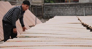 Làng nghề thu gần 60 tỷ mỗi năm nhờ món thực phẩm giá rẻ