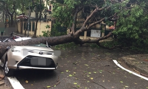 Những khu vực ô tô tránh đỗ khi trời mưa bão