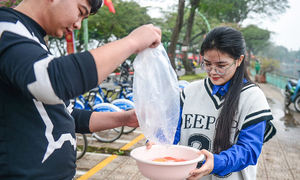 Bắc Bộ nắng 24°C Tết ông Công ông Táo và dự báo thời tiết cả nước 10 ngày tới