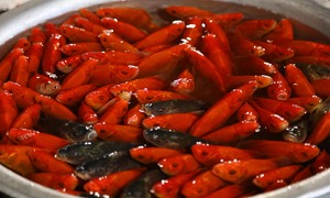 Giá cá chép đỏ tăng 'chóng mặt' trong ngày cúng ông Công, ông Táo