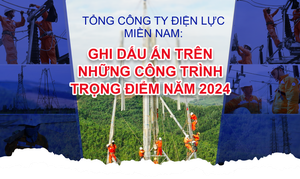 Tổng công ty Điện lực miền Nam ghi dấu ấn với các công trình trọng điểm năm 2024
