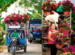 Người miền Tây 'chở Tết' về TP.HCM