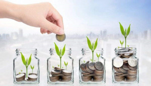 Năm 2025 nên đầu tư gì? 