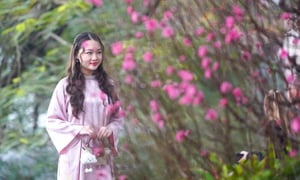 Thiếu nữ Hà Nội diện áo dài bên hoa đào, dạo hồ Gươm dịp cuối năm
