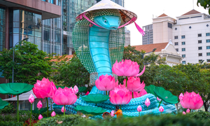 Mê mẩn nét dịu dàng của 'nàng Tỵ' ở đường hoa Nguyễn Huệ