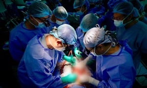 200 nhân viên y tế ở TP.HCM xuyên đêm ghép tạng cứu 4 người