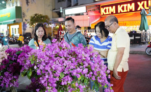 Đón Tết Nguyên đán 2025, thời tiết TP.HCM ra sao?