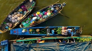 Ghe thuyền đầy ắp rau trái, chợ nổi Cái Răng rực rỡ ngày Tết