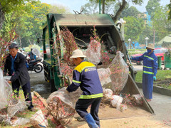 Bán rẻ hoa Tết để vui chung, sao nỡ vứt rác?