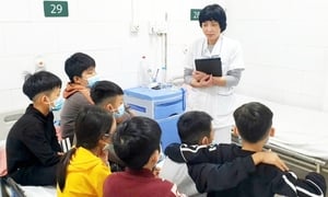 Thông tin mới nhất về 34 bệnh nhi ngộ độc thuốc diệt chuột 