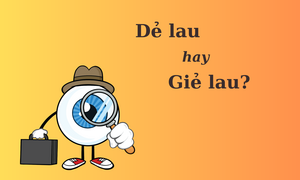 Nhiều người tranh cãi: 'Dẻ lau' hay 'giẻ lau'?