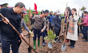 Bộ trưởng Đỗ Đức Duy: Nhân rộng 'lá phổi' ven biển, tạo sinh kế bền vững cho người dân