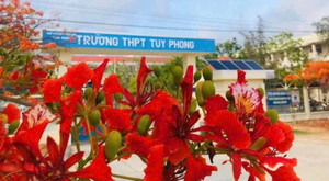 Tạm đình chỉ thầy giáo bị tố ‘quan hệ’ với nữ sinh lớp 10 ở Bình Thuận