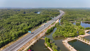 Thêm gần 33 km cao tốc Bến Lức - Long Thành được đưa vào khai thác dịp 30/4