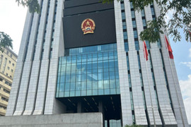 Chính phủ thống nhất không tổ chức Cơ quan điều tra của VKSND Tối cao